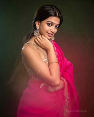 Ananthika Sanilkumar in pink saree