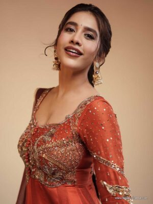 Nabha Natesh