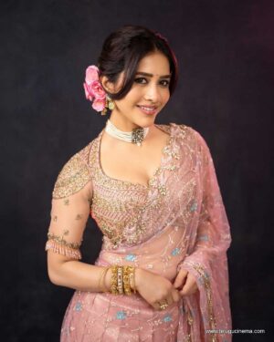 Nabha Natesh