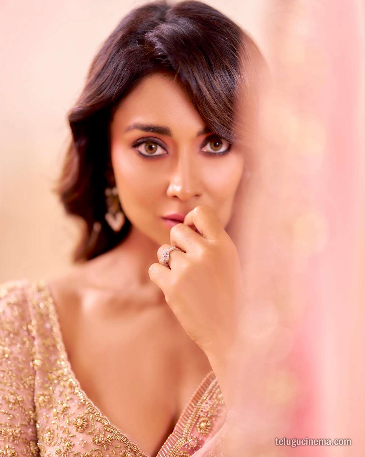 Shriya Saran looks graceful in a pastel pink saree