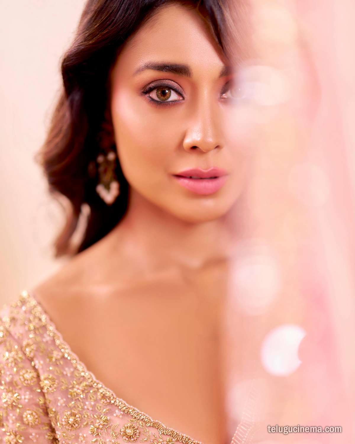Shriya Saran looks graceful in a pastel pink saree