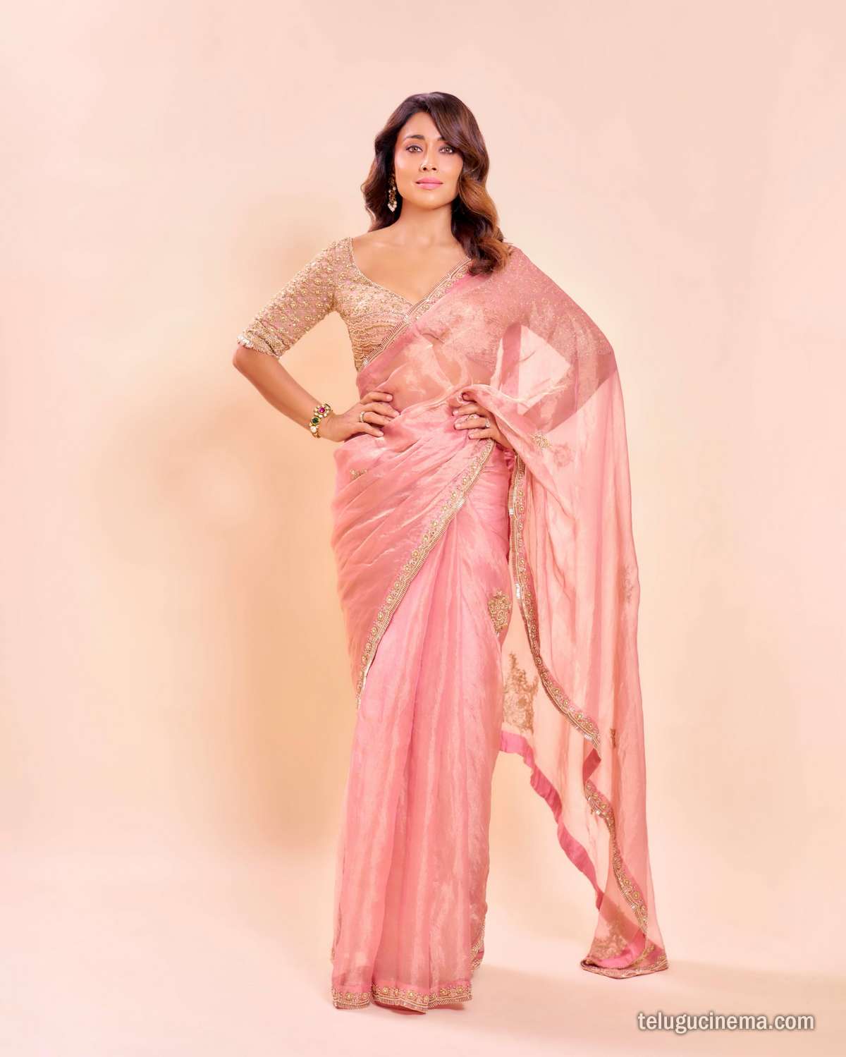 Shriya Saran looks graceful in a pastel pink saree